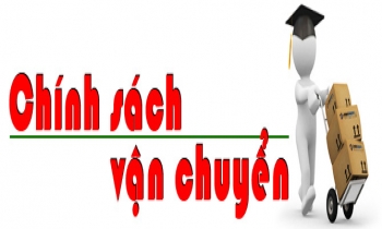 Chính sách Vận Chuyển